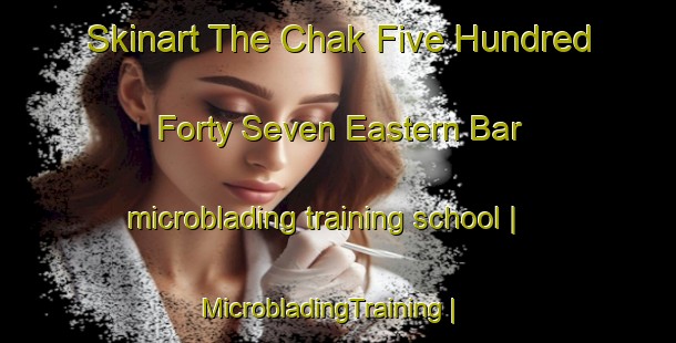 Skinart The Chak Five Hundred Forty Seven Eastern Bar microblading training school | MicrobladingTraining | MicrobladingClasses | SkinartTraining-Pakistan